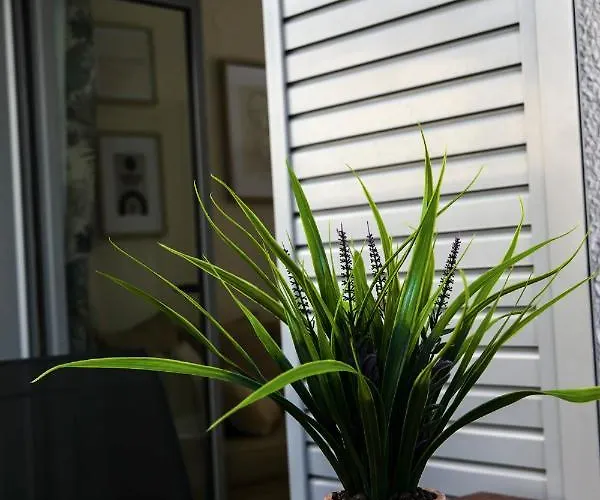 Azur Deluxe Apt. * Пефкохори